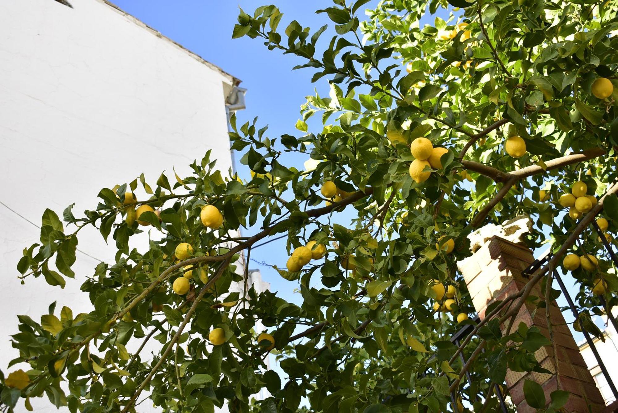 Casa Calma Ferienhaus *